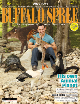 bsp1010cover..jpg